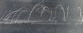 Nächtliches Artilleriefeuer mit Leuchtgranaten Sommefront 1916.jpg