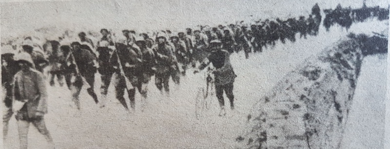 Datei:20180212 104809 q.jpg