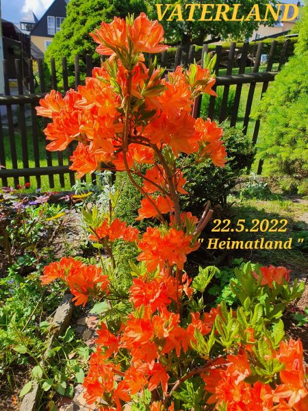 Datei:20220522 100425.jpg