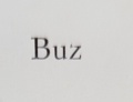 Buz.jpg