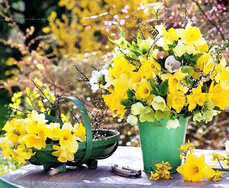 Datei:20220401 093554.jpg