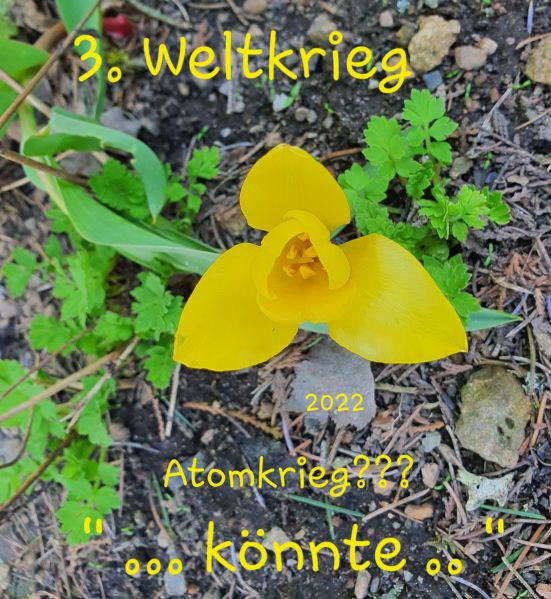 Datei:20220423 144142.jpg