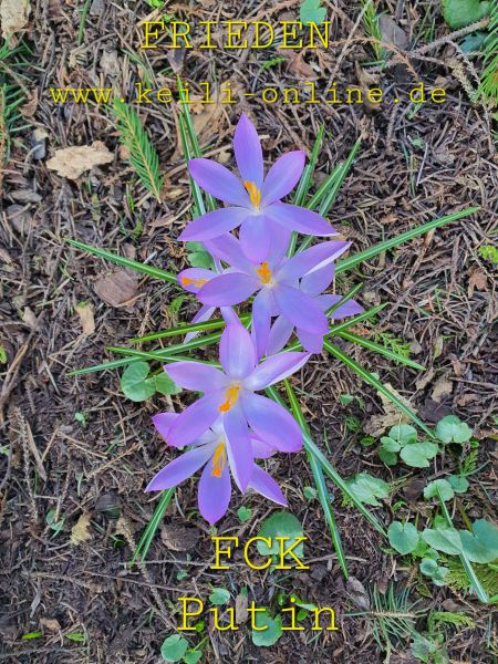 Datei:20220323 113322.jpg