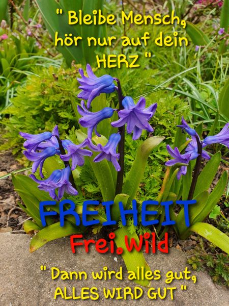 Datei:20210501 111125.jpg