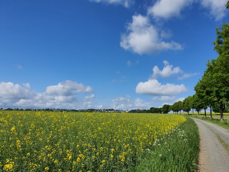 Datei:20220529 100519.jpg