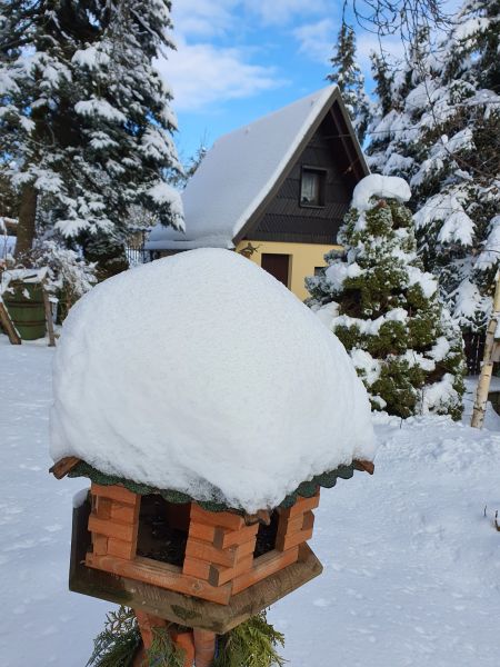 Datei:20210117 092800 08.jpg