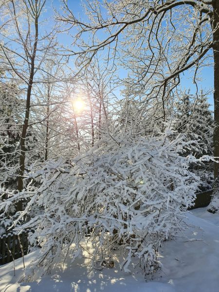 Datei:20220212 085515.jpg