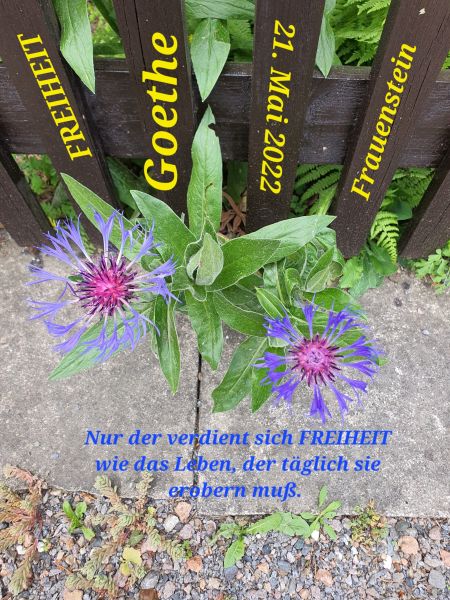 Datei:20220521 145427.jpg