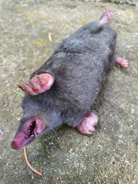 Datei:20220627 091337.jpg