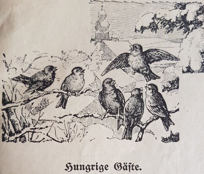 Datei:Hungrige Gäste.jpg