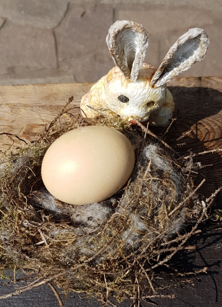 Datei:Osterhasen und ein Nest.jpg