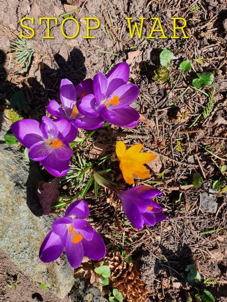 Datei:20220323 113216.jpg