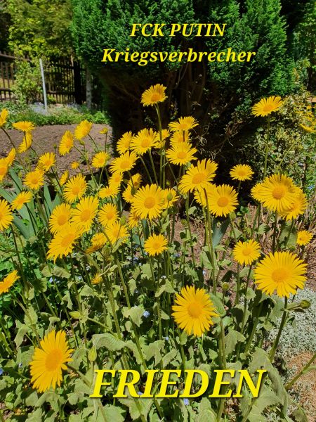 Datei:20220513 123513.jpg