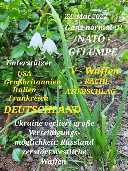 Datei:20220522 100335.jpg