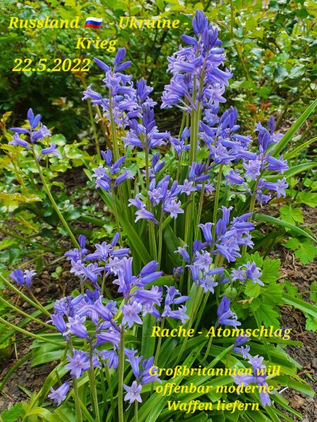 Datei:20220522 100356.jpg