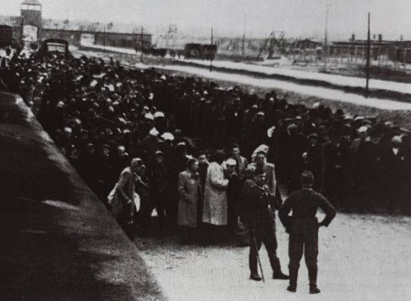 Datei:Auschwitz - Birkenau.jpg