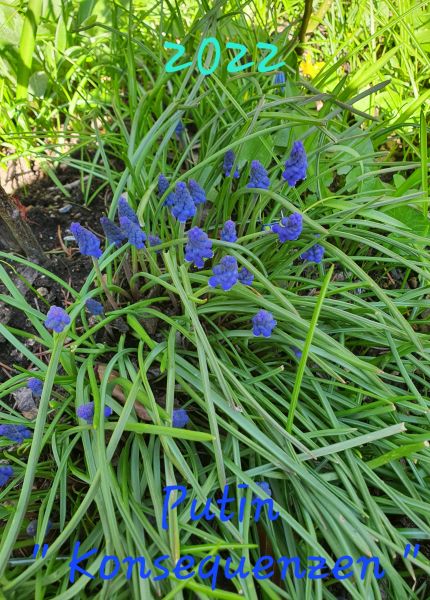 Datei:20220423 143955.jpg