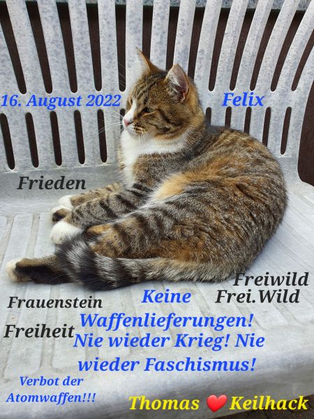 Datei:20220816 162854.jpg