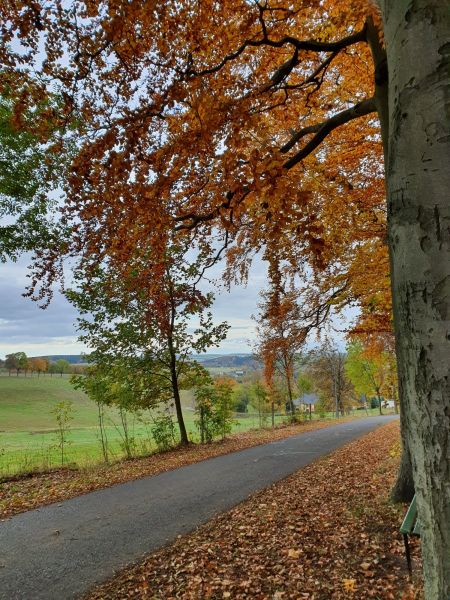 Datei:20201027 143837.jpg