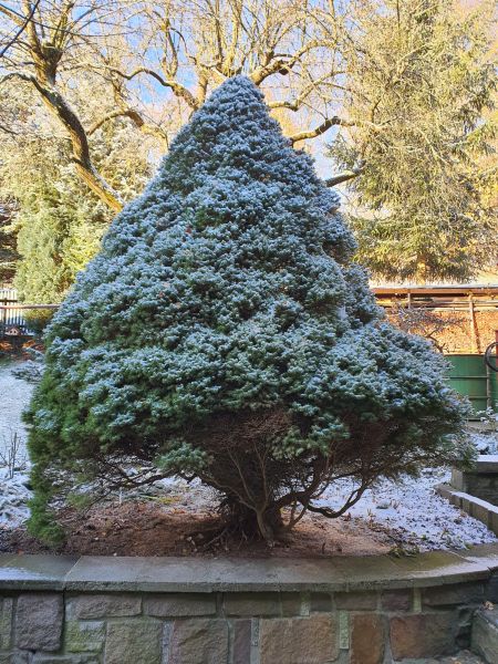 Datei:20221119 094423.jpg