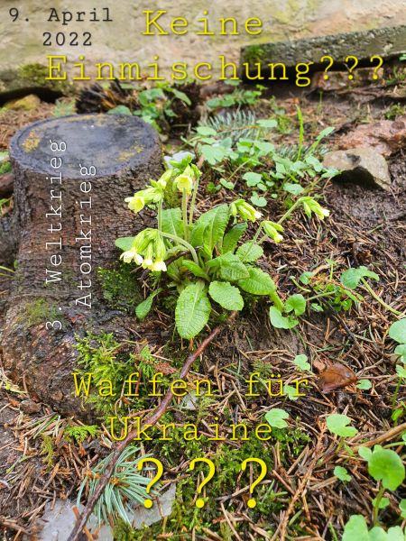 Datei:20220409 144328.jpg