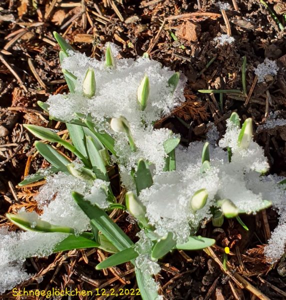 Datei:20220212 100122.jpg