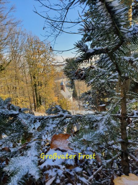 Datei:20221119 095107.jpg