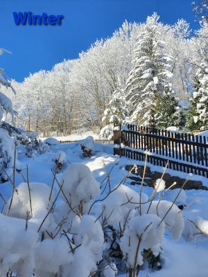 Winter - Frauenstein.jpg