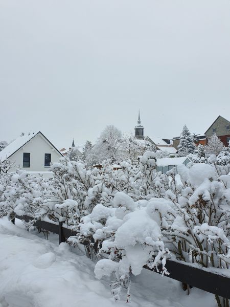 Datei:20210211 102212.jpg