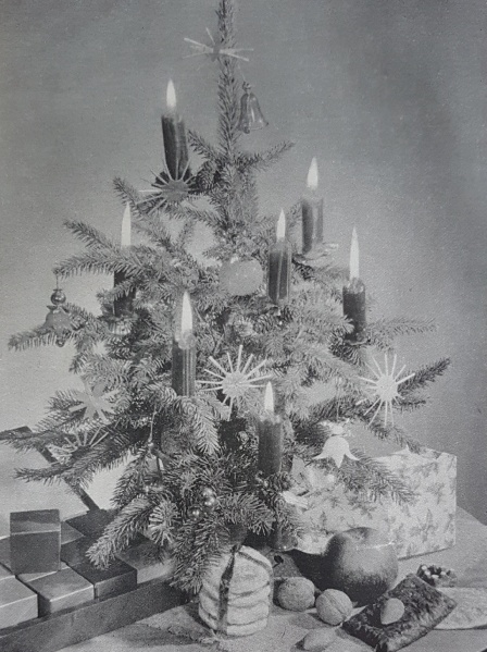 Datei:20181104 114420.jpg