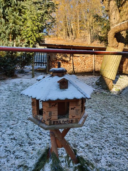 Datei:20221119 094454.jpg