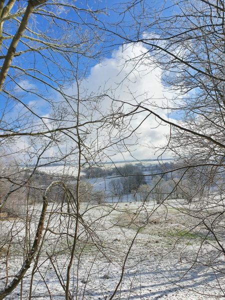 Datei:20210305 101455.jpg