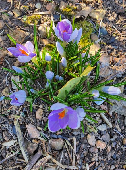 Datei:20220323 143436.jpg