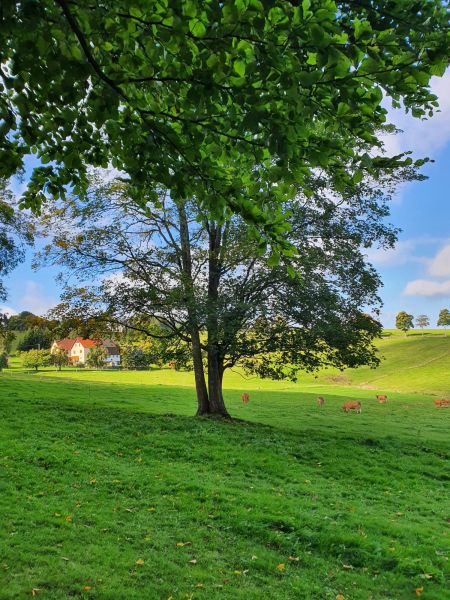 Datei:20221002 101225.jpg