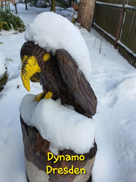 Datei:20210117 092800 07.jpg