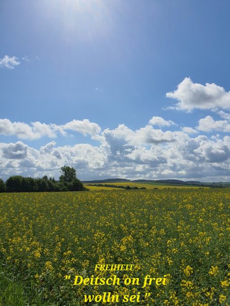 Datei:20220529 100622.jpg