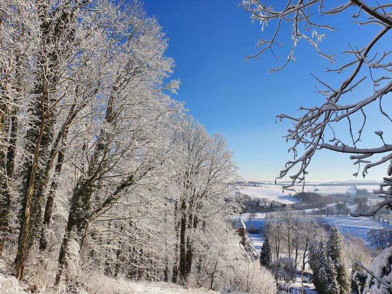 Datei:20220212 084936.jpg