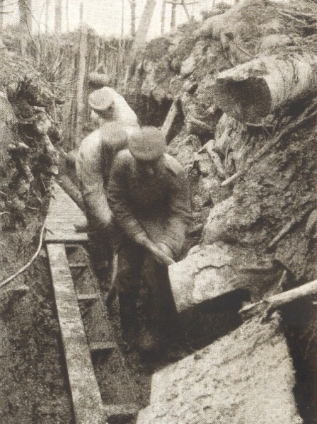 Datei:Stellungskrieg und Stacheldraht 5.jpg