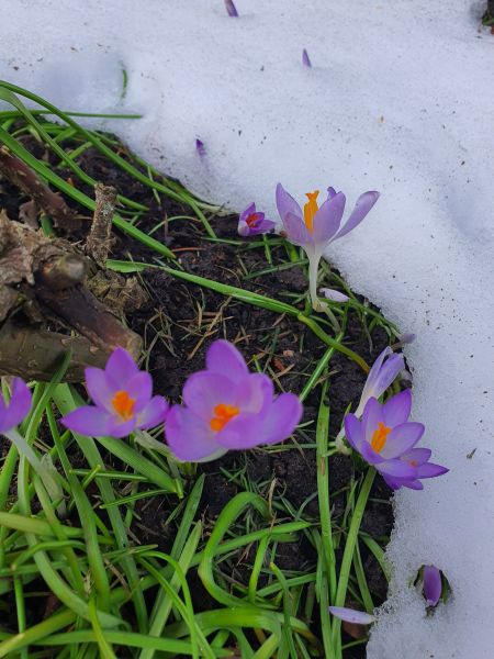 Datei:20230310 142525.jpg