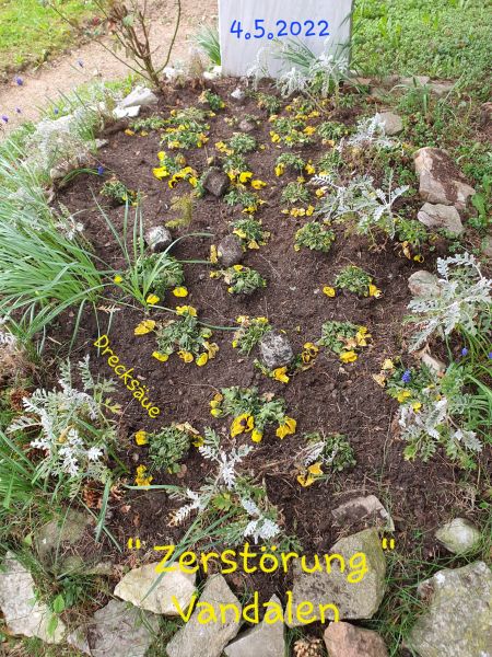 Datei:20220504 125103.jpg