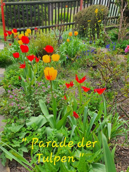 Datei:20230510 151529.jpg