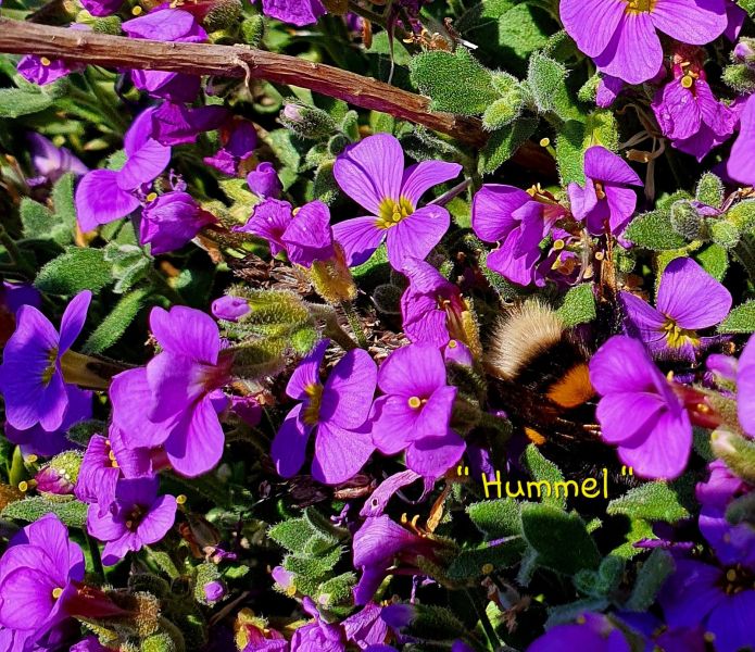 Datei:20220501 110355.jpg