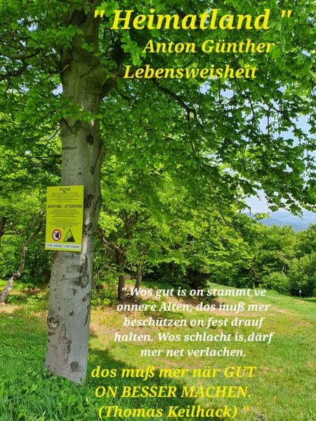 Datei:20220519 133304.jpg