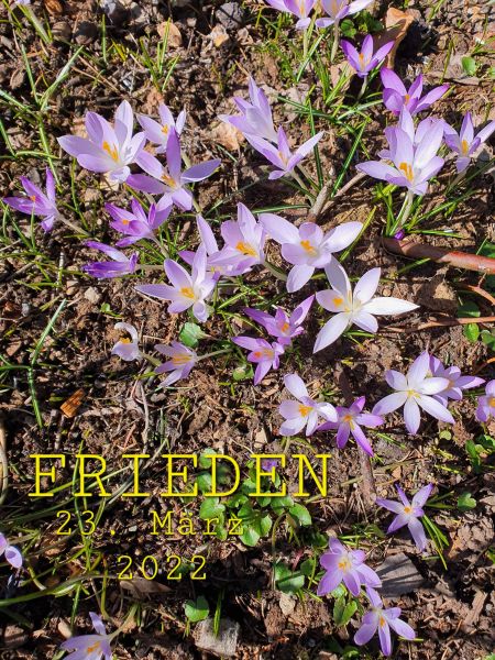 Datei:20220323 113110.jpg