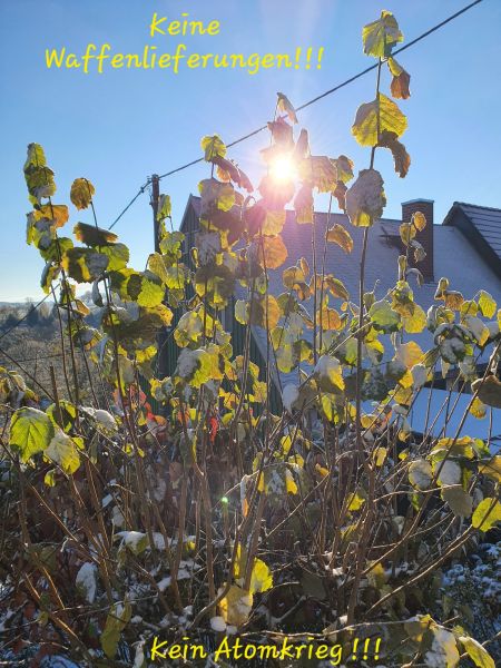 Datei:20221119 094341.jpg