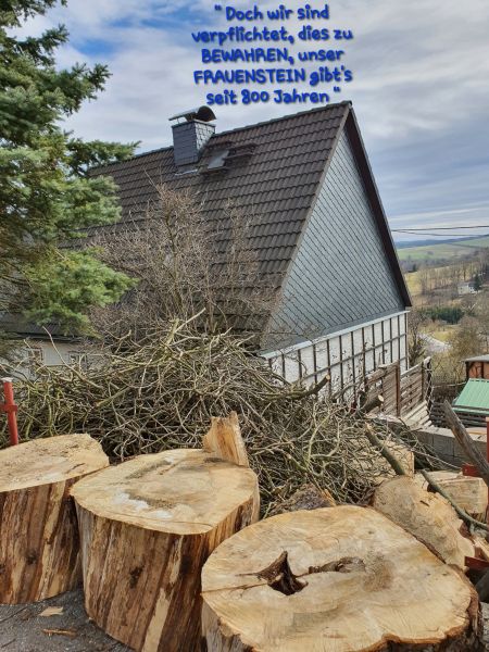 Datei:20210329 104521.jpg