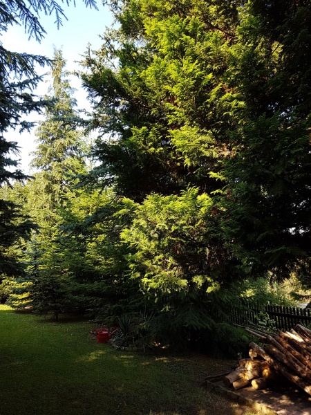 Datei:Garten - Heimat - Frauenstein.jpg