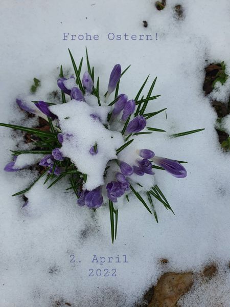 Datei:20220402 131952.jpg