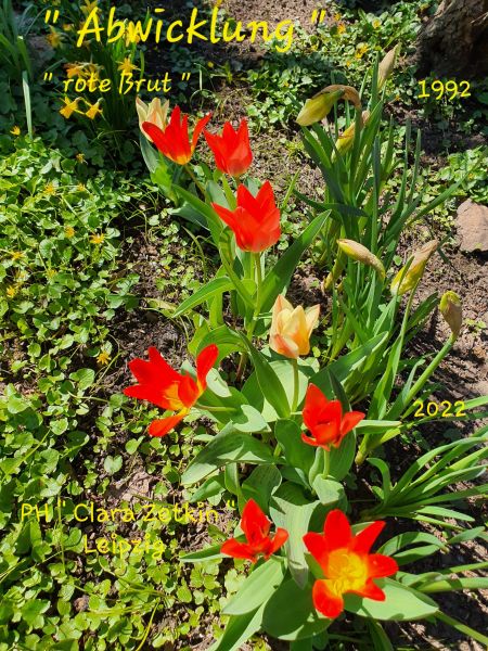 Datei:20220423 144025.jpg