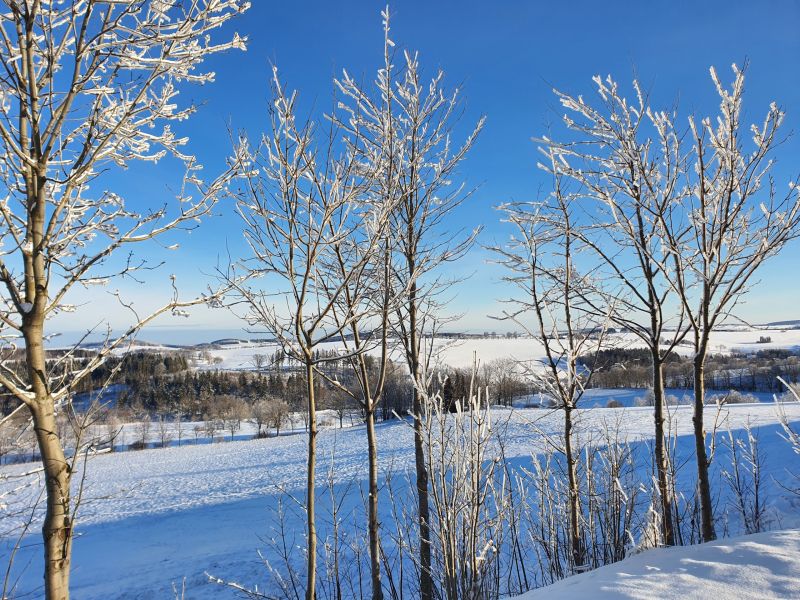 Datei:Arzgebirg - Frauenstein 11.1.2021.jpg